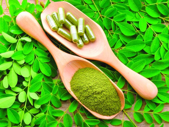 moringa